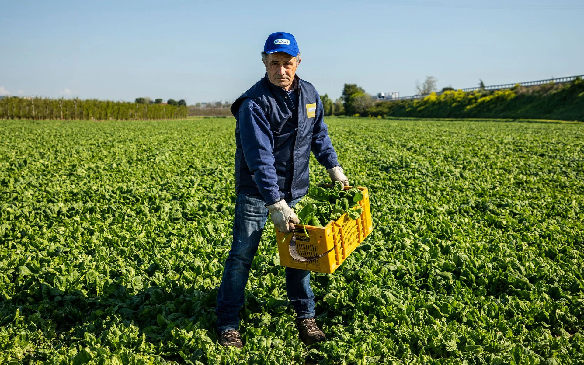 chi_siamo_i_nostri_agricoltori.jpg